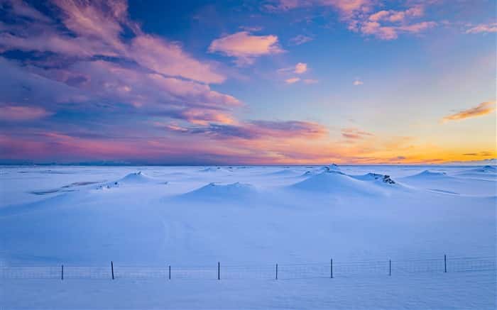 Taipei Home Massage & Hotel Massage Service Photo